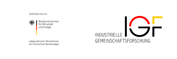 Logo Forderlogo BMWE IGF 750x250.original